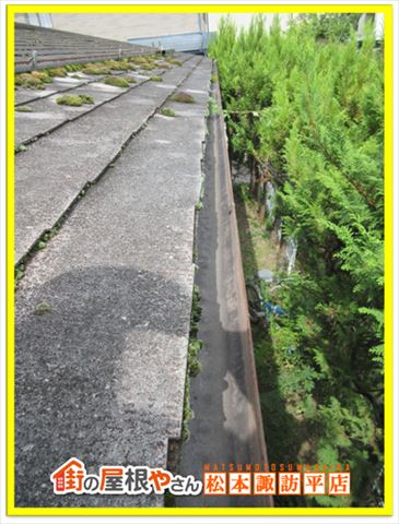 安曇野市スレート屋根診断　軒先コケ